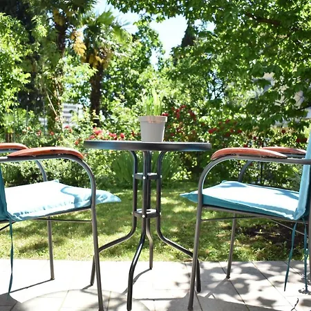 Tasha's 오파티아